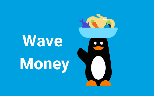 Wave Money Logo